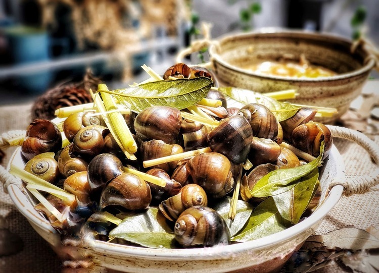 Ghé ngay Ốc luộc Ông Già để thưởng thức món ốc nóng hổi