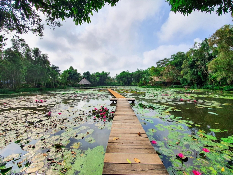 Khu Di tích Xẻo Quít