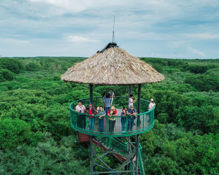Khu du lịch sinh thái Vàm Sát