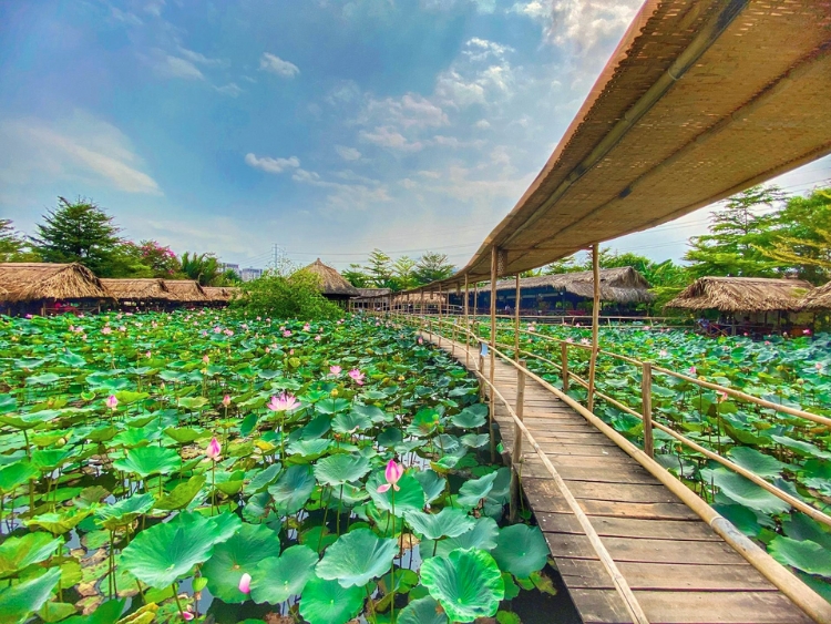 Khu ẩm thực sinh thái Sen Nam Bộ