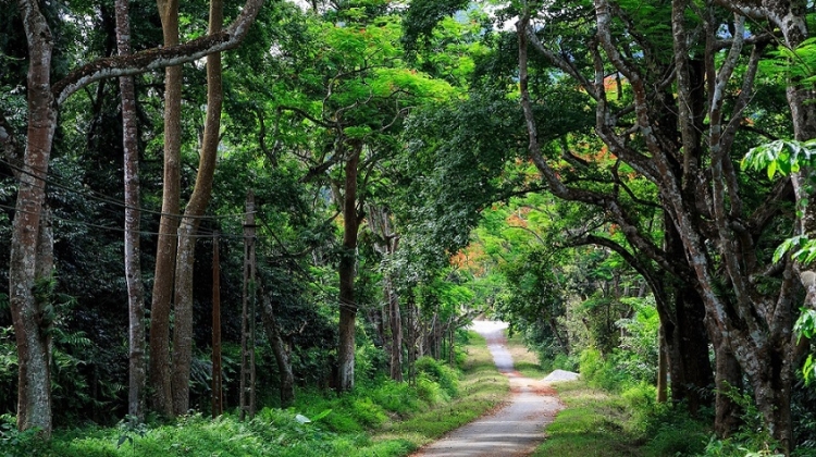 Vườn Quốc gia Cúc Phương - Ninh Bình