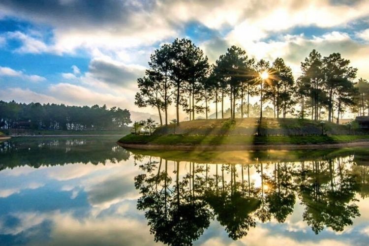 Rừng thông Bản Áng - Sơn La