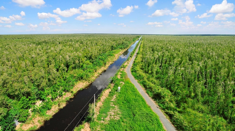 Rừng U Minh Hạ - Cà Mau