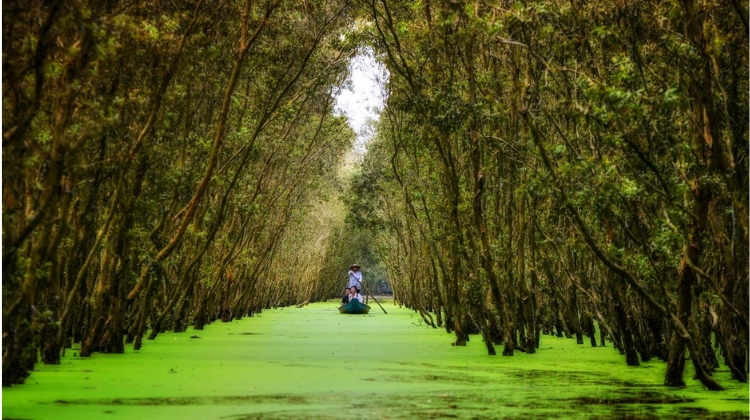 Rừng tràm Trà Sư - An Giang