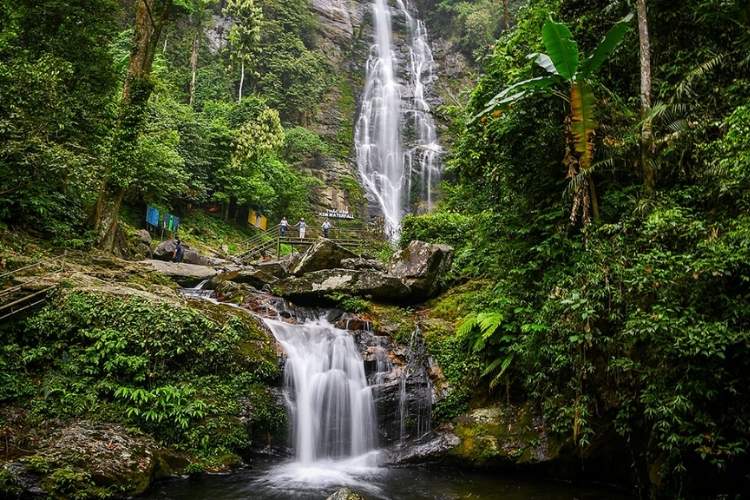 Khu rừng nguyên sinh Pù Mát - Nghệ An