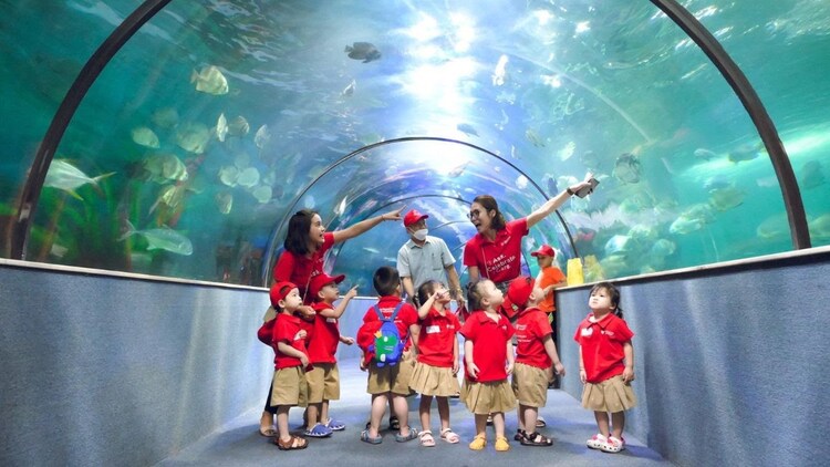 Vinpearl Aquarium Times City
