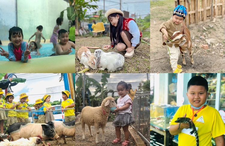 Baby Farm có nhiều hoạt động giúp trẻ gần gũi với thiên nhiên (Nguồn: Internet)