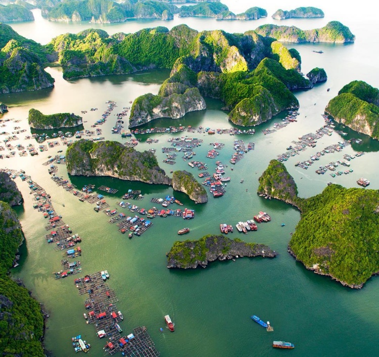 Làng chài Cái Bèo – Cát Bà, Hải Phòng