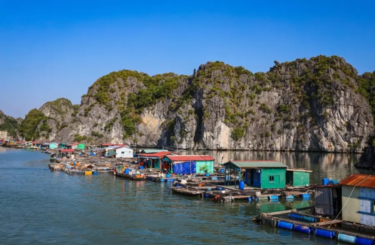 Làng chài Việt Hải – Cát Bà, Hải Phòng