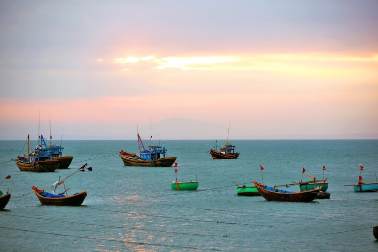 Bãi biển Hàm Ninh