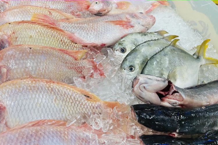 Bí quyết mua hải sản sống tươi ngon tại làng chài Mũi Né