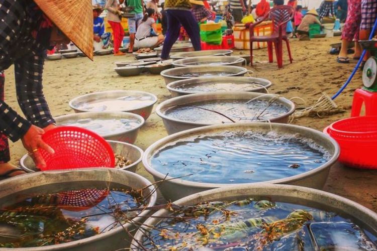 Thưởng thức hải sản tươi sống ngay tại biển