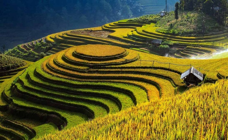 Ngắm ruộng bậc thang – Kiệt tác thiên nhiên