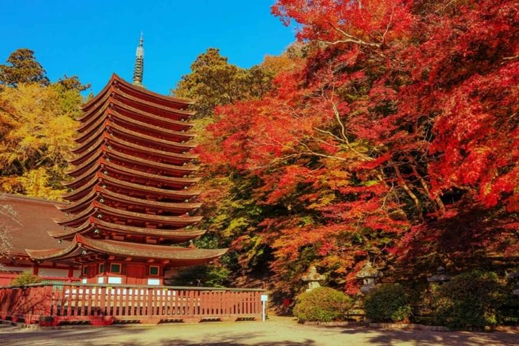 Lễ hội mùa thu Fujiwara