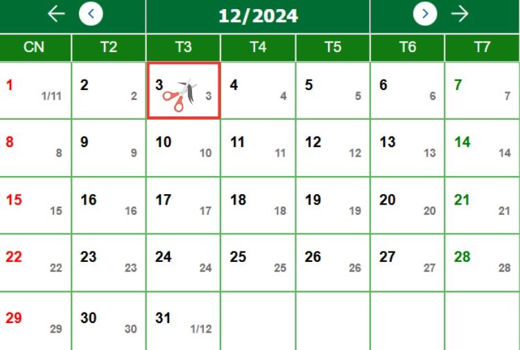 Lịch cắt tóc Tháng 12 tuần thứ nhất