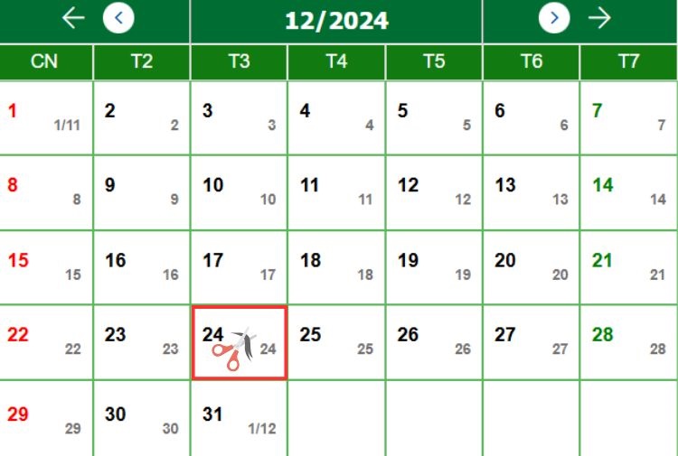 Lịch cắt tóc Tháng 12 tuần thứ 4