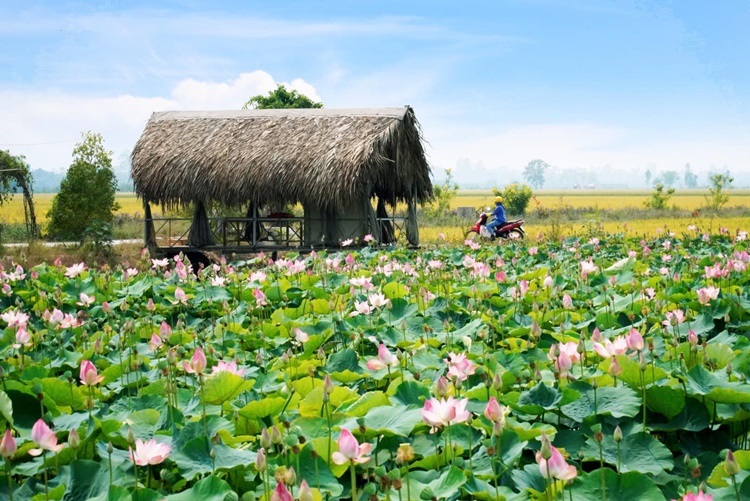 Địa điểm du lịch, vui chơi dịp nghỉ lễ miền Nam