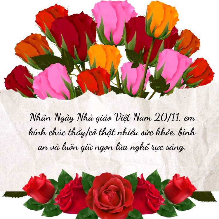 Lời chúc 20/11 cho thầy cô hay và ý nghĩa nhất 2025