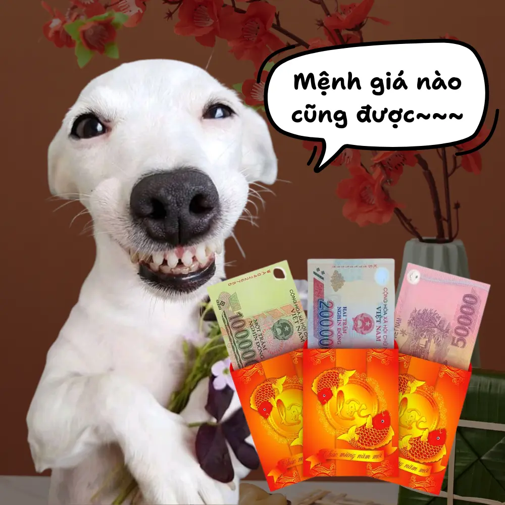 meme hình chó hài hước cười nhe răng nhận lì xì Tết 100k, 200k, 50k