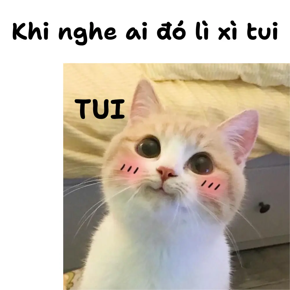 ảnh chế mèo hài hước xin lì xì Tết dễ thương