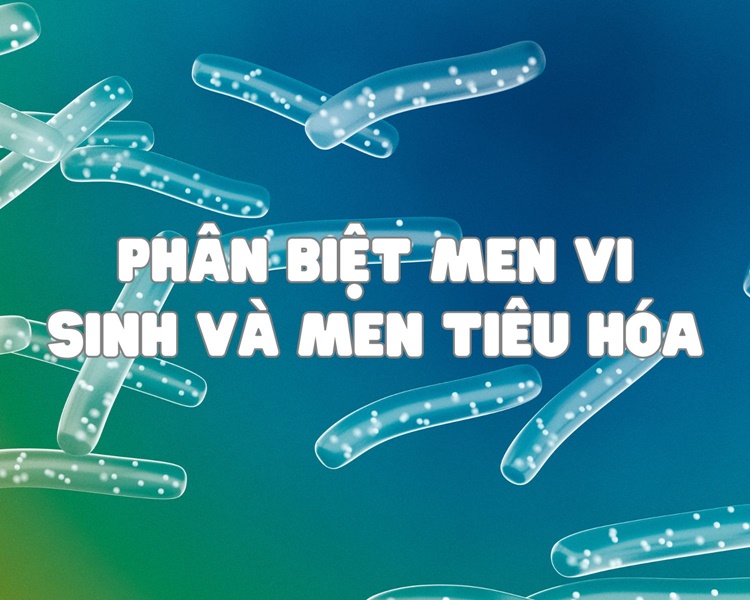 Phân biệt men vi sinh và men tiêu hóa