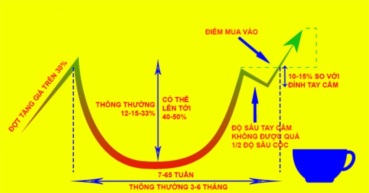 Mô hình cốc tay cầm thuận lý tưởng