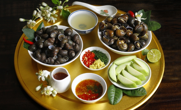 Ốc Hà Nội