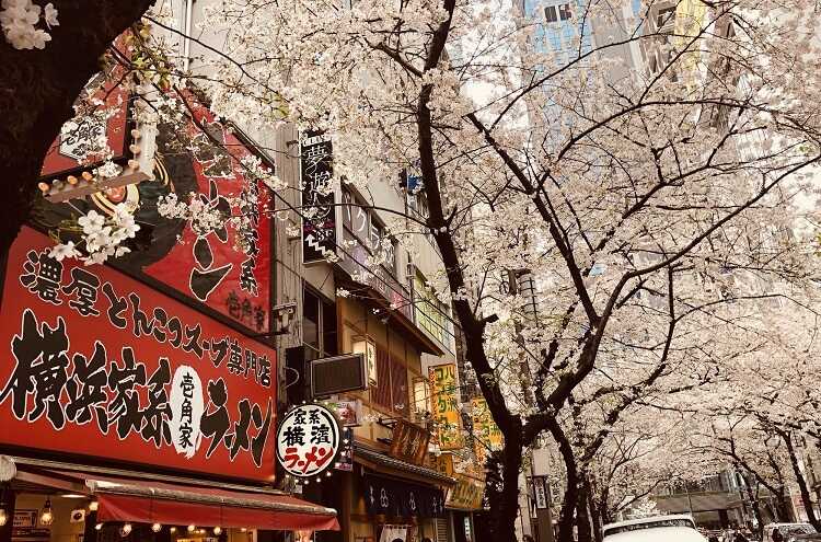 Phố Yokohama Minatomirai Sakura-dori - Kanagawa