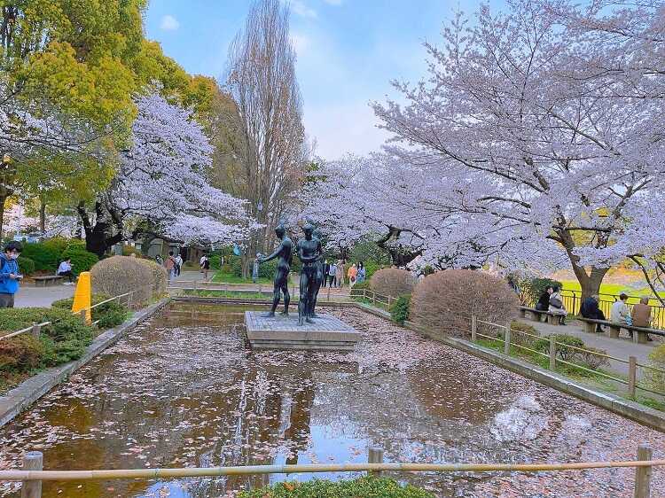 Công viên Chidorigafuchi - Tokyo