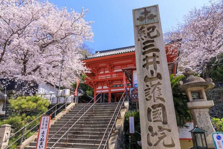 Kimiidera - Wakayama