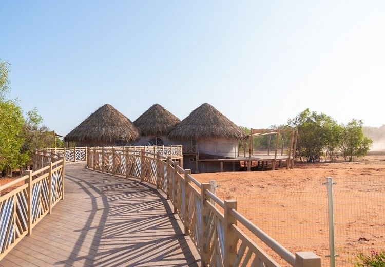 Safari Cafe & Zoo