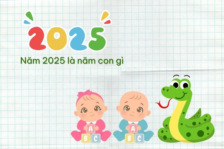 Năm 2025 là năm con gì?