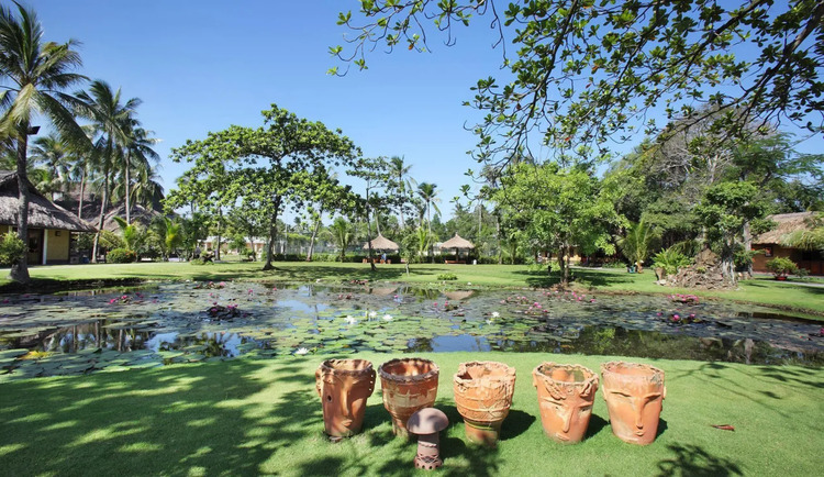 Khu du lịch Bình Quới