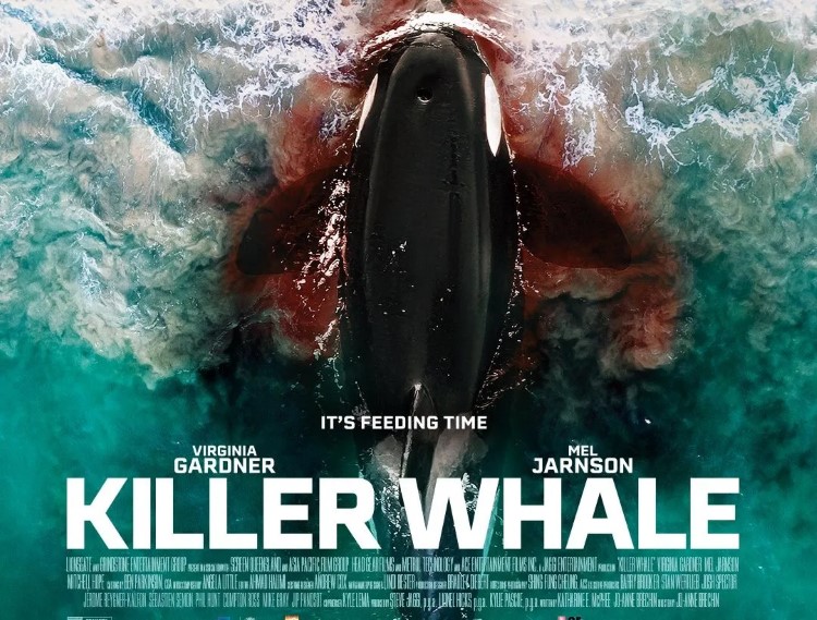Cá Voi Sát Thủ - Killer Whale