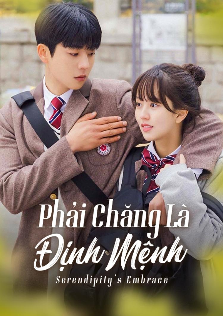 Serendipity's Embrace - Phải Chăng Là Định Mệnh?