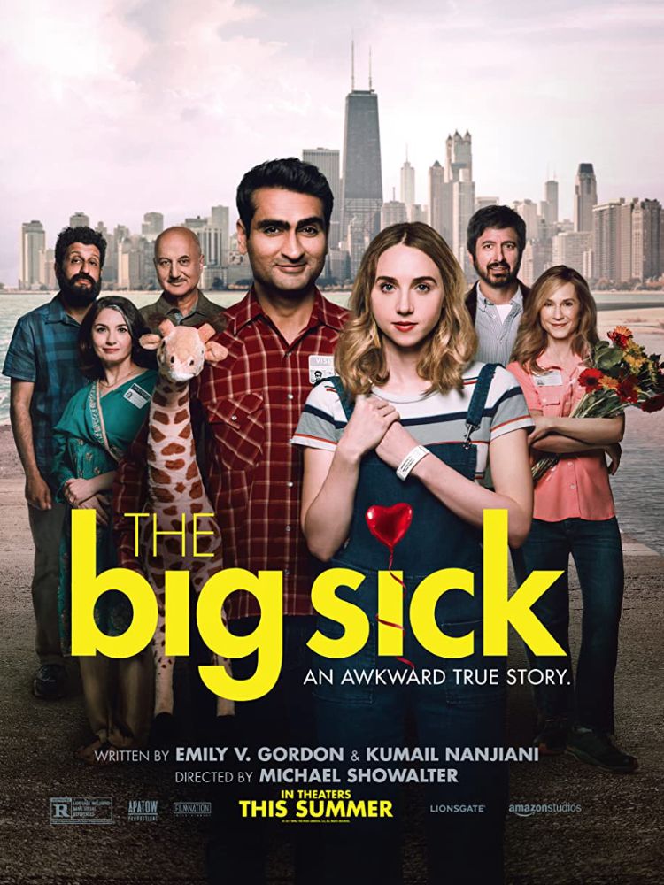 The big sick (2017)