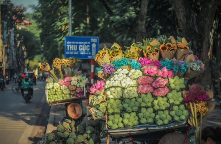 Phố Cổ Hà Nội