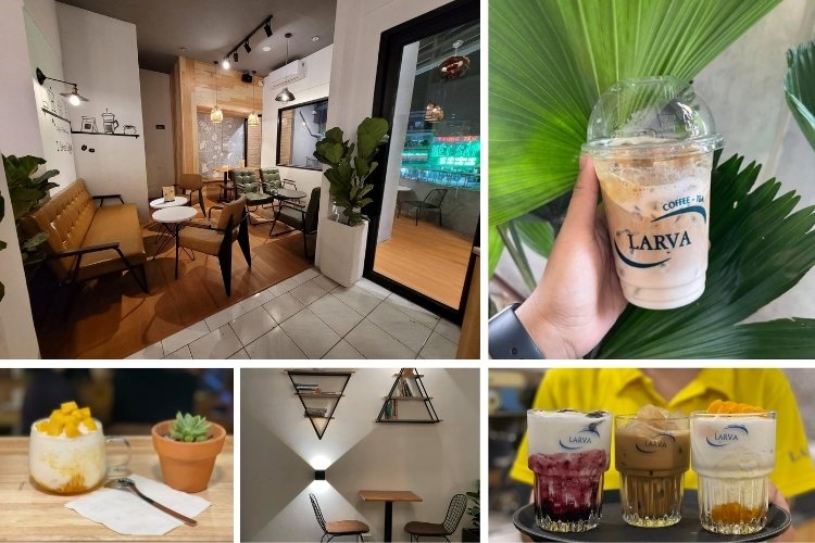 Larva Coffee 24h