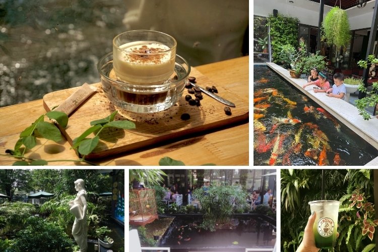Venus Coffee