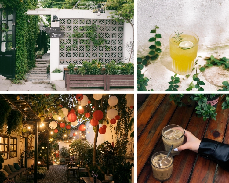 Tree House Coffee
