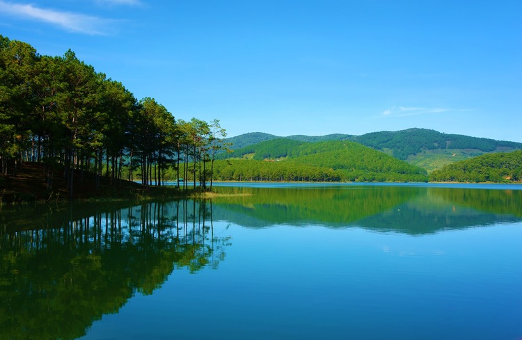 Rừng thông hồ Tuyền Lâm