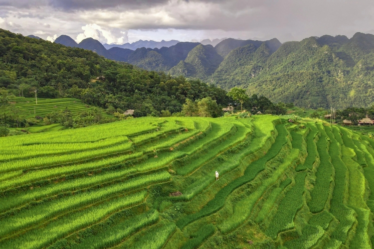 Ruộng bậc thang Pù Luông - Thanh Hóa