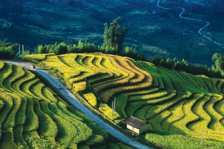 Ruộng bậc thang Y Tý - Lào Cai