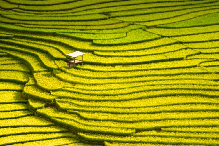 Ruộng bậc thang Longji - Trung Quốc