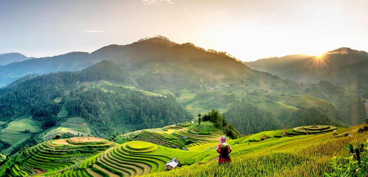 Ruộng bậc thang ở Việt Nam