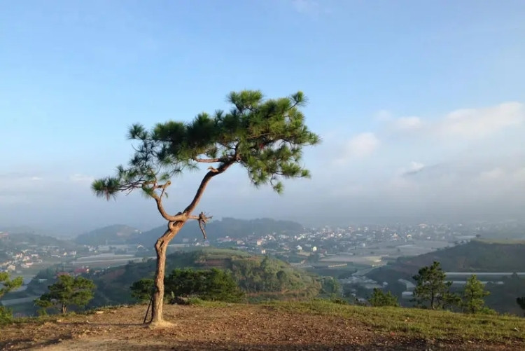 Săn mây Đà Lạt trên Đồi Thiên Phúc Đức