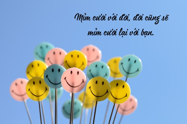 Stt vui tươi và yêu đời