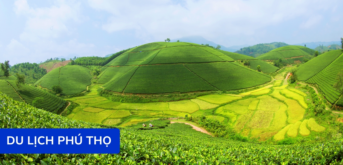 Du lịch Phú Thọ: Khám phá vùng đất Tổ linh thiêng và giàu bản sắc