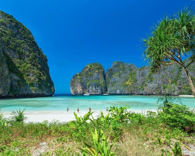Vịnh Phi Phi