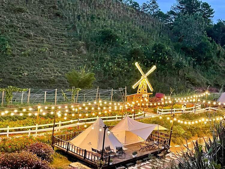 Vườn dâu Ichigo Farm